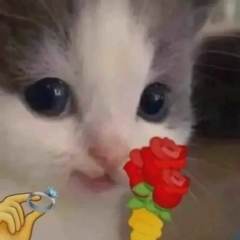 呵呵呵