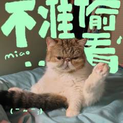 用一颗心换一颗星