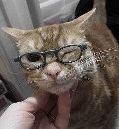 头像