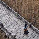 (˃᷄ꇴ˂᷅ ૂ๑)