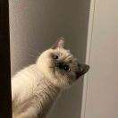 满三百包邮议价拉黑