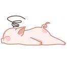 欧气爆棚ʚ🐷ɞ