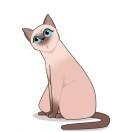 退坑打包可小刀