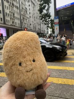 發發娃娃超多！