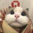在桃公主