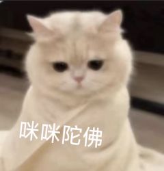 哦豁