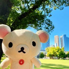 莎莎