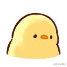 什么时候