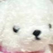 嘟嘟哒