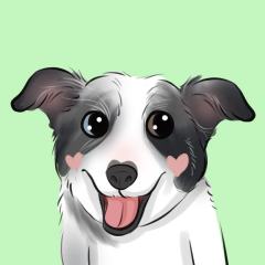 小野狼潮玩DIY