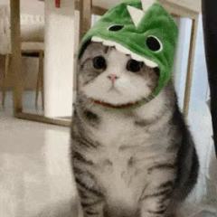 战戏