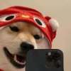 用户头像