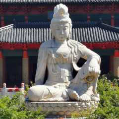 清娃中收货请及时🐲