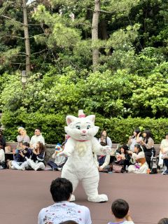 小猫爱吃鱼