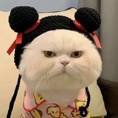 哎呦喂