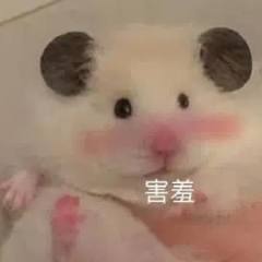 眼睛看清，别来犯蠢
