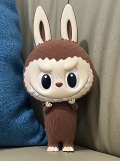 上架的都可以拍