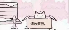 廿九
