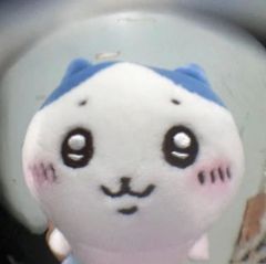 和琦琦的岁岁年年