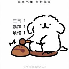 拾光