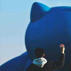 比猪还困
