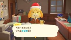 麻麻崔