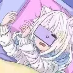 夜猫判罚