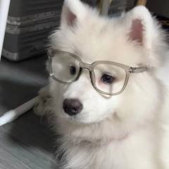 隐