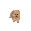 为拉布布倾尽所有（看简介）