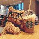 卷毛熊🐻
