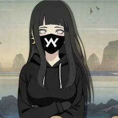 蜜窠