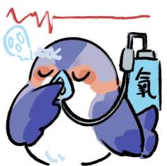 拣尽寒枝