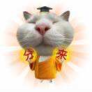 中外艺政英速进脑袋🔥