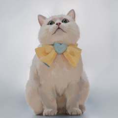 獨孤伊人（分享号）