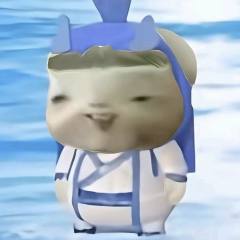 悲伤猪咪