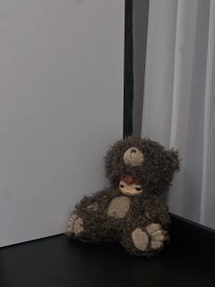 小Z