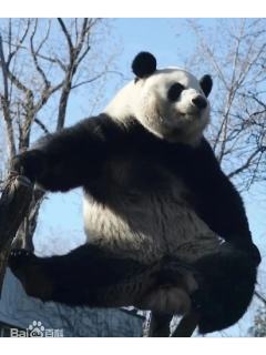 Youlia尤莉亚