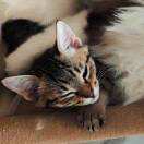 零启文化动漫工作室