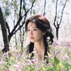 曲琦味的白鹿🍪