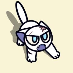 罗小黑全员推