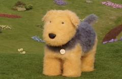 豆豆眼狗勾狂热