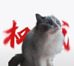 mrz^郝一晨