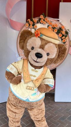 脱非转欧糖果翼✨