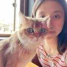 微胖界的仓鼠君🐹🐿