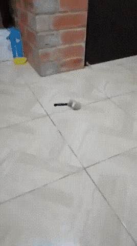 前世逃死罪现世画萌妹