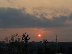 萝卜怪磕睡来了