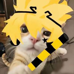 你骂谁恋爱脑呢