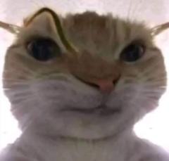 酸梅汤（阿巴阿巴）