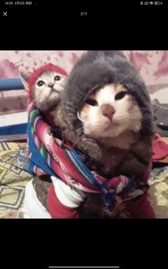 头像
