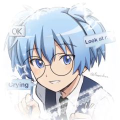 椰子（拍卖运费不合并